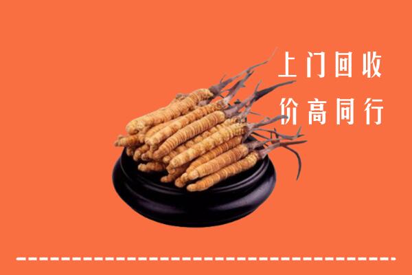 高价求购：白山市靖宇回收散虫草