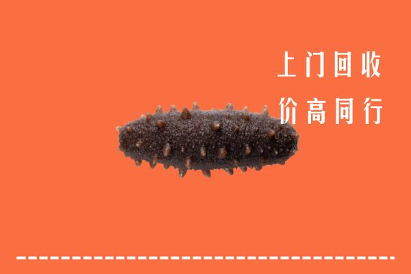 高价求购：白山市靖宇回收海参